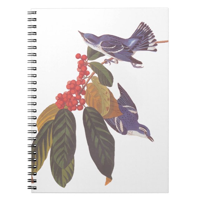 Audubon's Cerulean Warbler Birds with Bear Berries Notebook (Front)