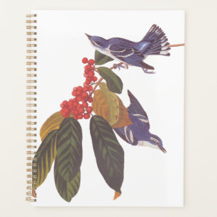 Audubon's Cerulean Warbler Birds with Bear Berries Planner