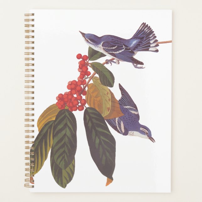 Audubon's Cerulean Warbler Birds with Bear Berries Planner (Front)