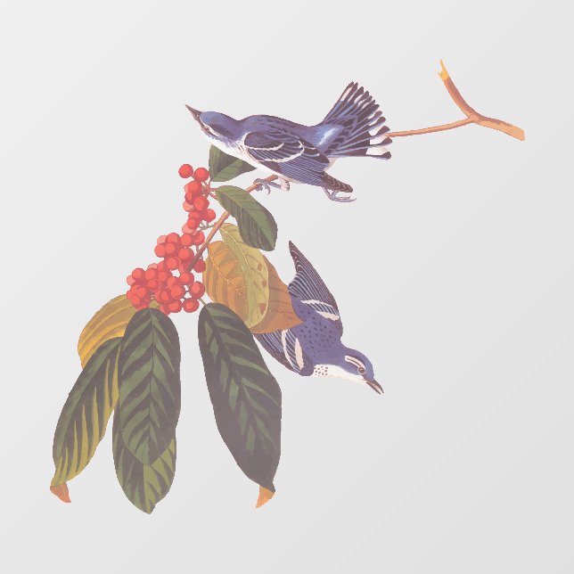 Audubon's Cerulean Warbler Birds with Bear Berries Window Cling (Sheet)