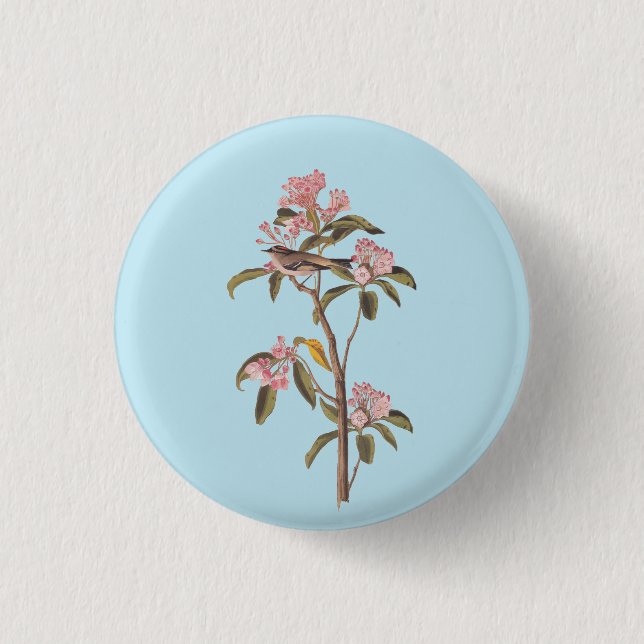 Audubon's Cuvier's Kinglet Bird on Pink Calico 3 Cm Round Badge (Front)