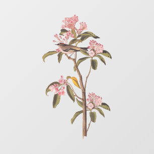 Audubon's Cuvier's Kinglet Bird on Pink Calico Window Cling