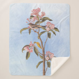 Audubon's Cuvier's Kinglet Mystery Bird Sherpa Blanket
