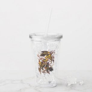 Audubon's Extinct Carolina Parakeets Vintage Art Acrylic Tumbler