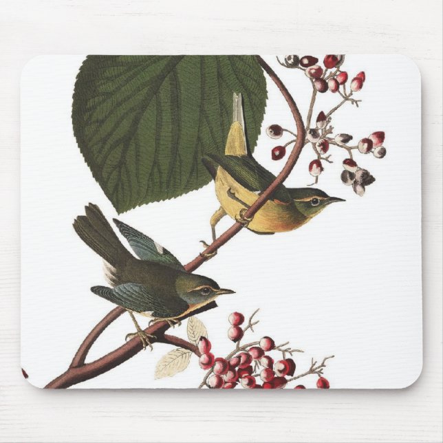 Audubon's Extra Warbler Mouse Mat (Front)