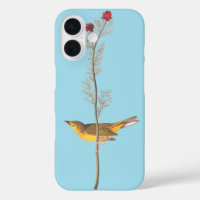 Audubon's Hooded Warbler Bird on Red Flower