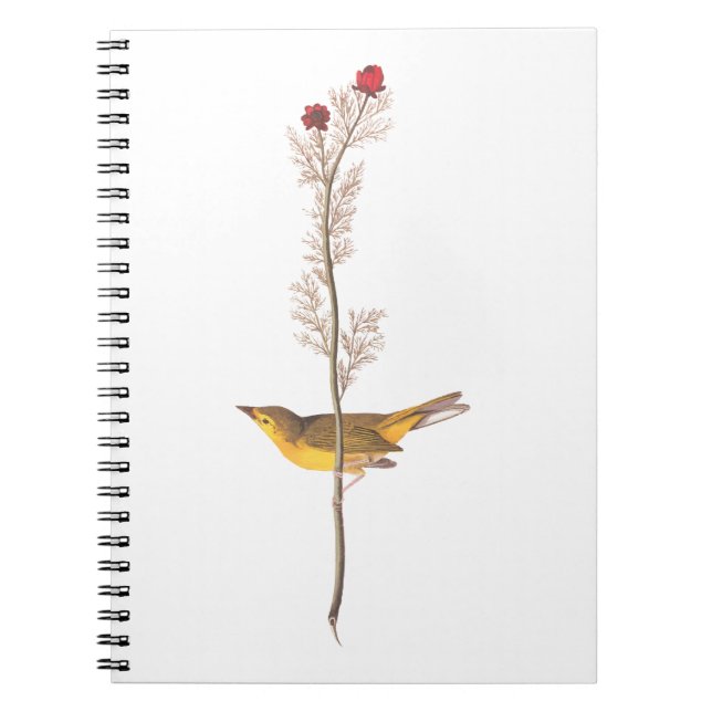 Audubon's Hooded Warbler Bird on Red Flower Notebook (Front)