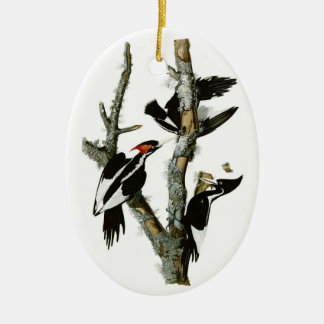 Audubon's Ivory-billed Woodpecker Ceramic Tree Decoration