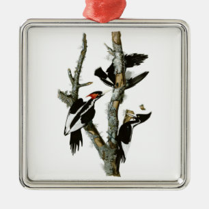 Audubon's Ivory-billed Woodpecker Metal Tree Decoration