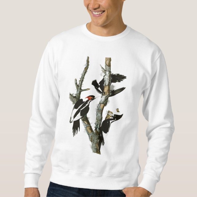 Audubon's Ivory-billed Woodpecker Sweatshirt (Front)
