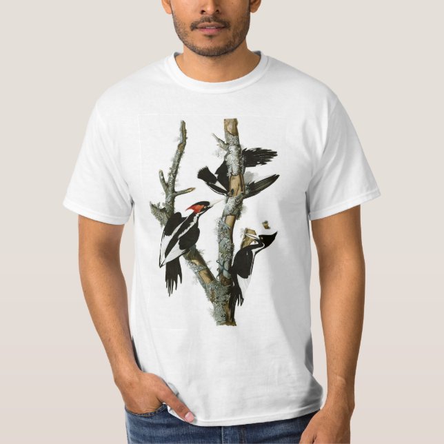 Audubon's Ivory-billed Woodpecker T-Shirt (Front)
