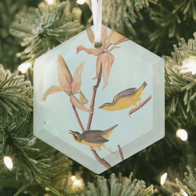 Audubon's Kentucky Warbler Bird Pair with a Spider Glass Tree Decoration (Insitu)