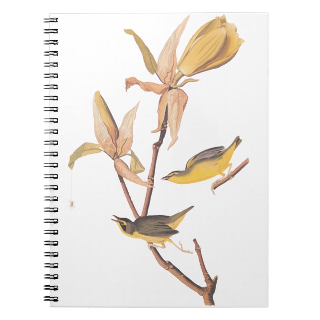 Audubon's Kentucky Warbler Bird Pair with a Spider Notebook (Front)