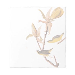 Audubon's Kentucky Warbler Bird Pair with a Spider Notepad
