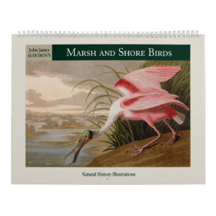 Audubon's Marsh and Shore Birds 2026 Calendar