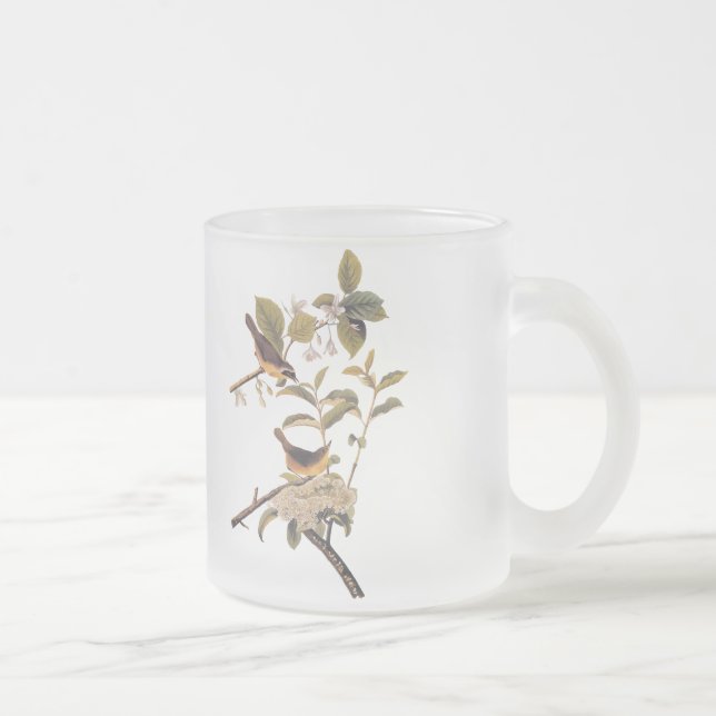 Audubon's Maryland Yellowthroat Birds with Flowers Frosted Glass Coffee Mug (Right)