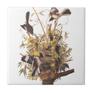 Audubon's Mocking Bird Tile