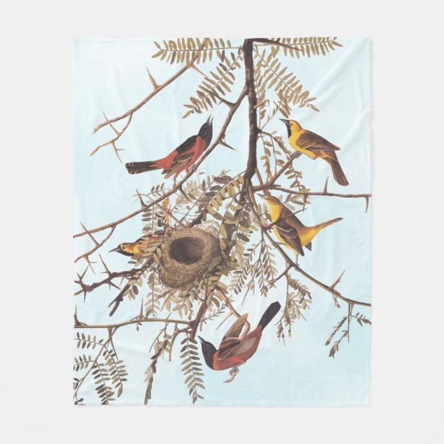 Audubon's Orchard Oriole Birds in a Honey Locust Fleece Blanket (Front)