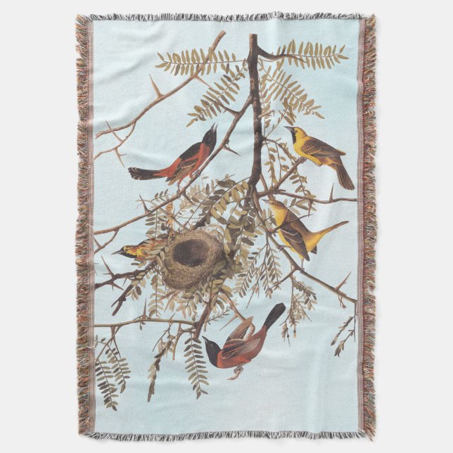 Audubon's Orchard Oriole Birds in a Honey Locust Throw Blanket (Front Vertical)