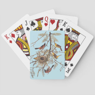 Audubon's Orchard Oriole Birds in Honey Locust Playing Cards
