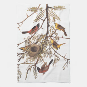 Audubon's Orchard Oriole Birds Nesting in Tree Tea Towel