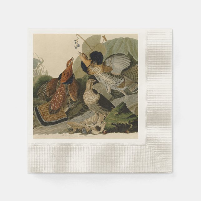 Audubon's Painting of a trio of Ruffed Grouse Napkin (Front)