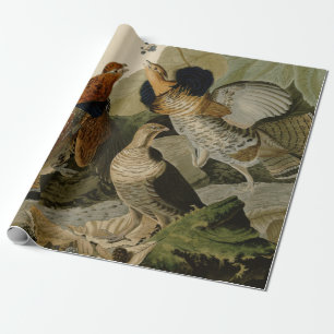 Audubon's Painting of a trio of Ruffed Grouse Wrapping Paper