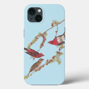 Audubon's Purple Finch Red Birds iPhone 13 Case