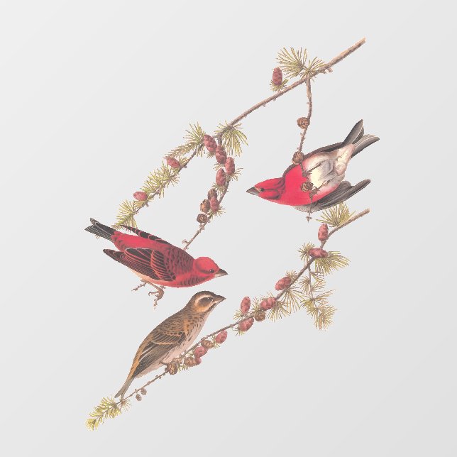 Audubon's Purple Finch Three Red Birds in Winter Window Cling (Sheet)