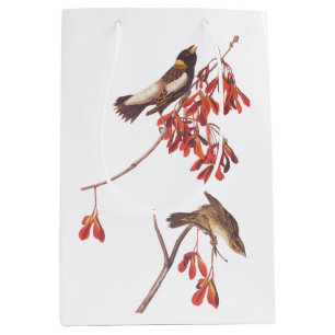 Audubon's Rice Bunting Birds or Bobolink Birds Medium Gift Bag