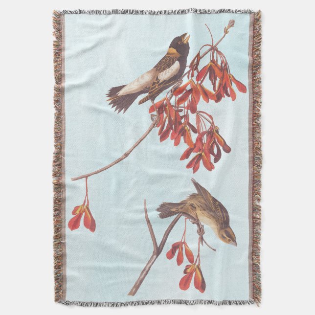 Audubon's Rice Bunting Birds or Bobolink Birds Throw Blanket (Front Vertical)