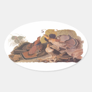 Audubon's Ruffed Grouse Oval Sticker