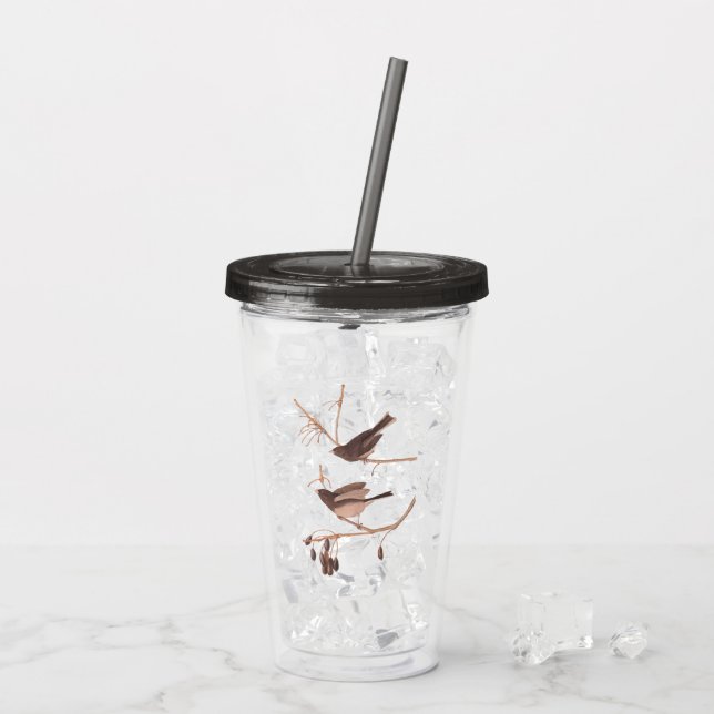 Audubon's Snow Birds on Winter Tree Branch Acrylic Tumbler (Back Ice)