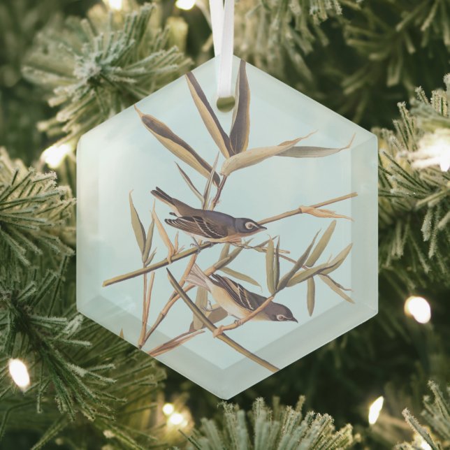 Audubon's Solitary Vireo Flycatcher Birds on Cane Glass Tree Decoration (Insitu)