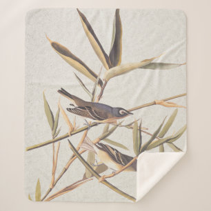 Audubon's Solitary Vireo Flycatcher Birds on Cane Sherpa Blanket
