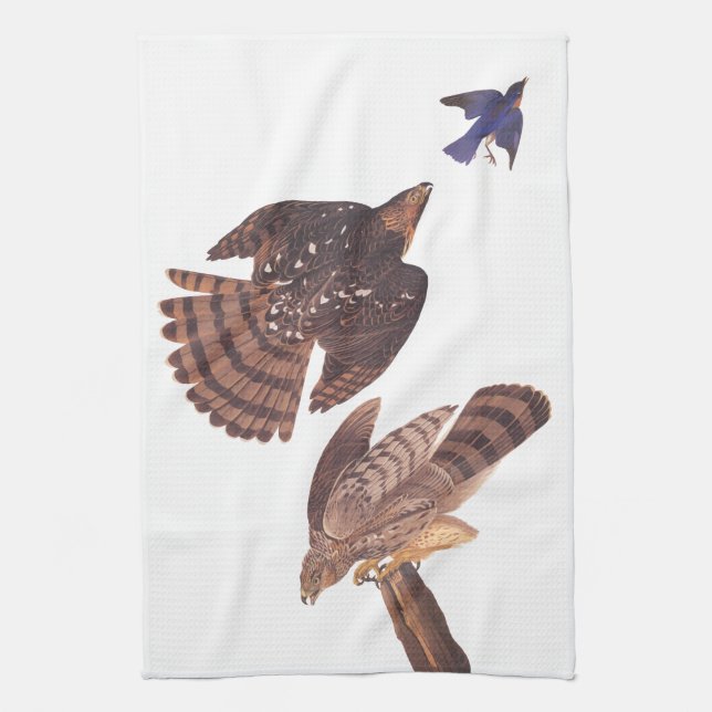 Audubon's Stanley's Hawks Hunting a Blue Bird Tea Towel (Vertical)