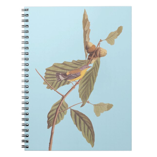 Audubon's Swainson's Warbler on Oak Branch Notebook (Front)