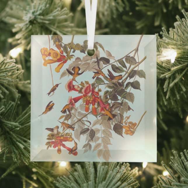 Audubon's Tropical Ruby Throated Hummingbirds Glass Tree Decoration (Insitu)
