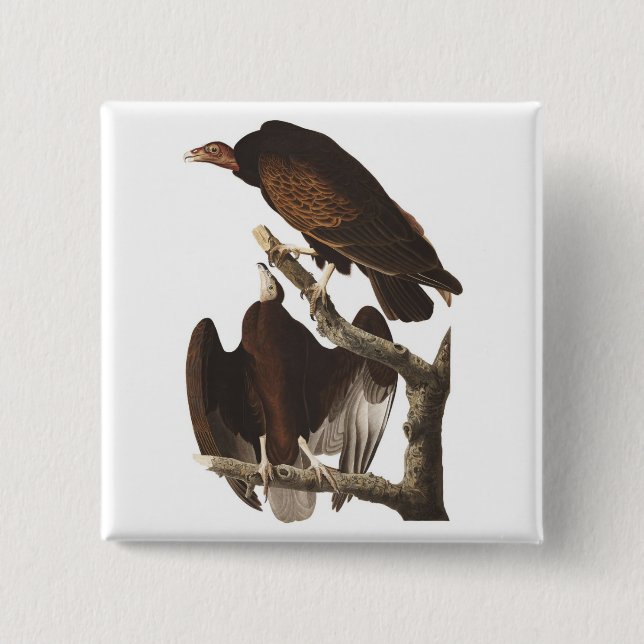 Audubon's Turkey Vulture 15 Cm Square Badge (Front)