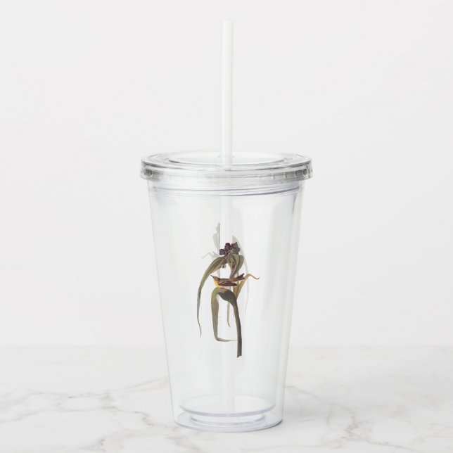 Audubon's Vigour's Vireo on Purple Iris Acrylic Tumbler (Front)