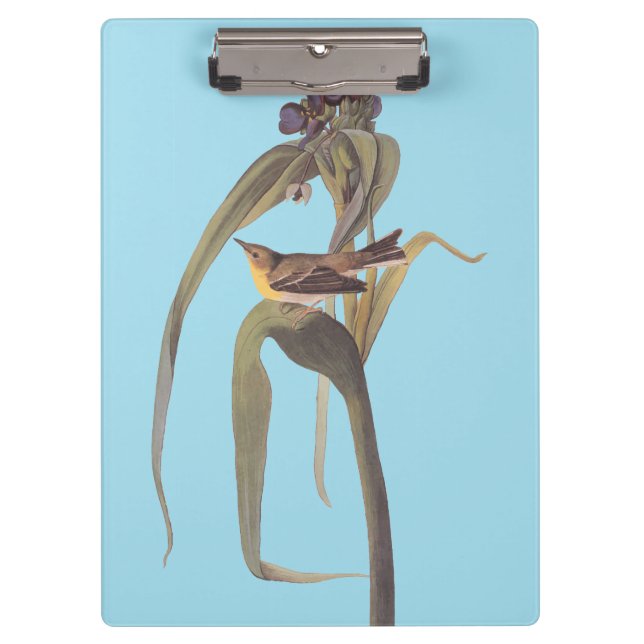 Audubon's Vigour's Vireo Songbird Clipboard (Front)