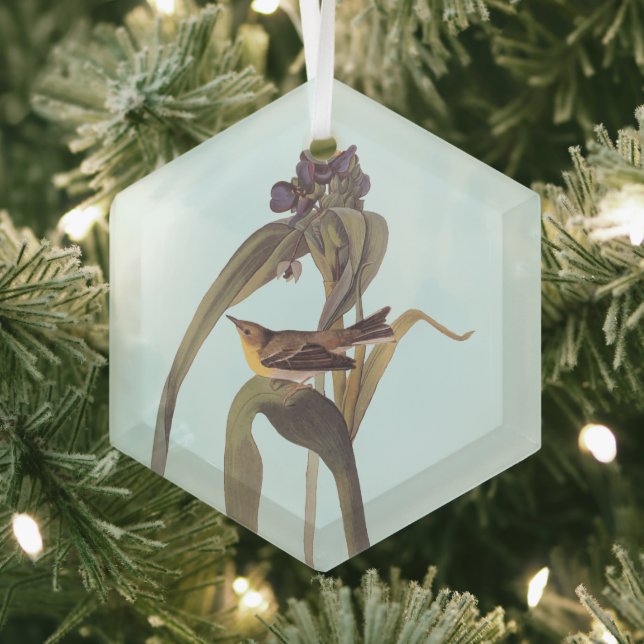Audubon's Vigour's Vireo Songbird Glass Tree Decoration (Insitu)