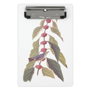 Audubon's Vintage Blue Green Warbler Song Bird Mini Clipboard