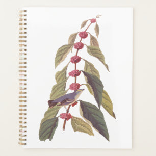 Audubon's Vintage Blue Green Warbler Song Bird Planner
