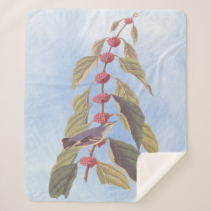 Audubon's Vintage Blue Green Warbler Song Bird Sherpa Blanket