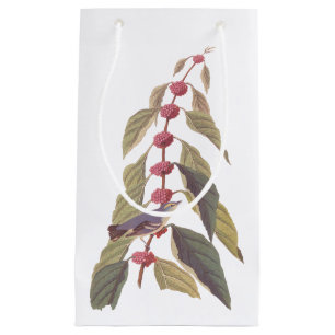 Audubon's Vintage Blue Green Warbler Song Bird Small Gift Bag