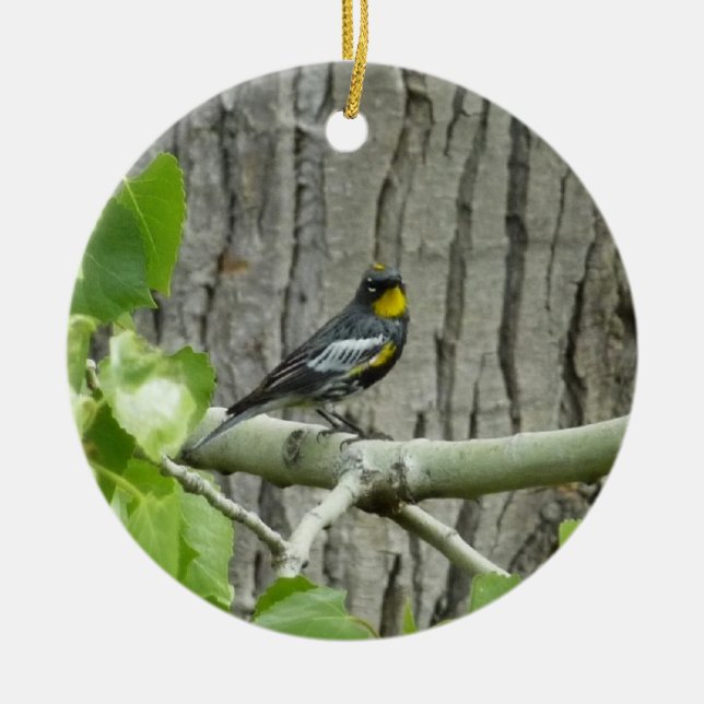 Audubon's Warbler Nature Photography Ceramic Tree Decoration (Front)