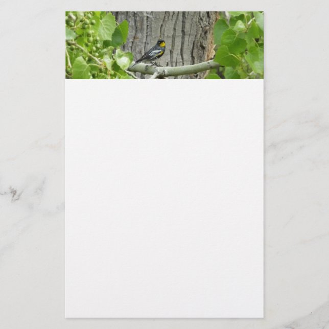 Audubon's Warbler Nature Photography Stationery (Front)