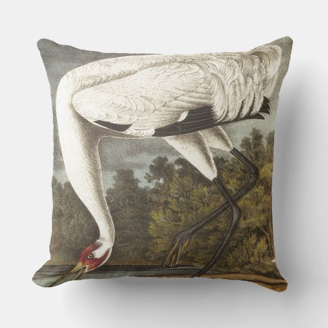Audubon's Whooping Crane Cushion (Front)