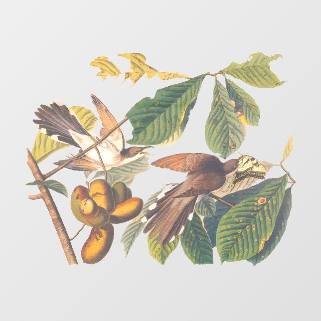 Audubon's Yellow-Billed Cuckoo Birds Keychain Window Cling (Sheet)